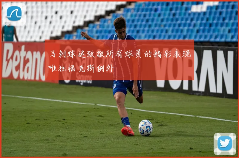 马刺球迷致敬所有球员的精彩表现唯独福克斯例外